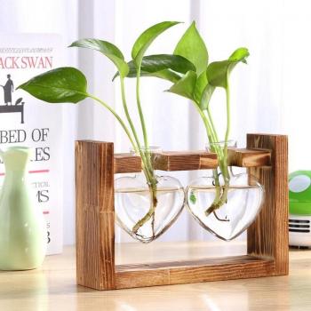 Decorative Hydroponic Glass Vase