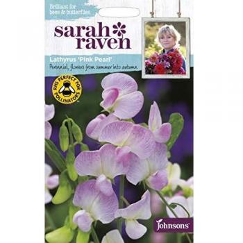 Lathyrus Pink Pearl Flower Seeds by Sarah Raven