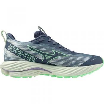 Mizuno Wave Rider GORE‑TEX 2 Donna Blu/Verde 41
