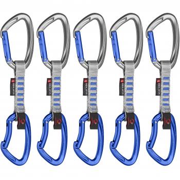 Mammut 5er Pack Crag indicatorexpress Sets – Ruban, Mixte Adulte, Argent (Straight Gate/Bent Gate Argent)