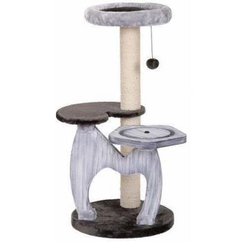 Pomme d’Arbre pour Chat
