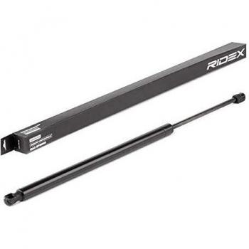 RIDEX 219G0789