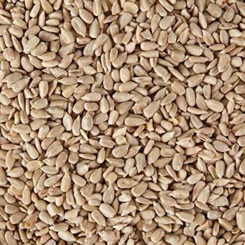 Semences Écologiques de Tournesol 3000g