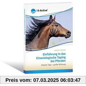 Einführung in das Kinesiologische Taping bei Pferden: Kleines Tape