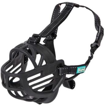 Freedog Museruola + Collare Ergo Plus
