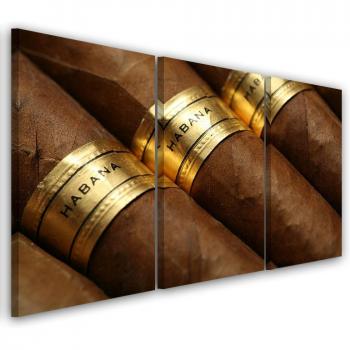 Decorazione murale in tre pezzi Cubano 60x40 Marrone con sigari