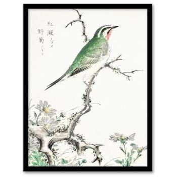 12 × 16 Ruby Throat Bird & Wild Chamomile Classic Frame