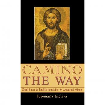 Camino