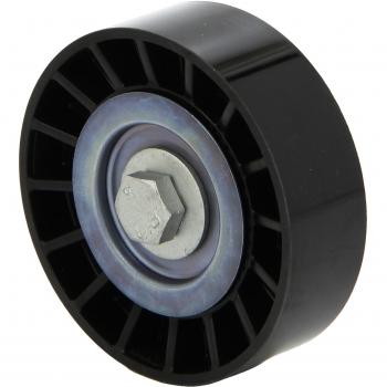 Pulley tenditore INA 531081210