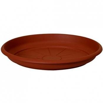 Soucoupe Pratique Ø 33 cm pour Fleurs et Plantes