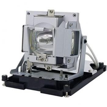 Lámpara de proyector 2500 h MicroLamp ML12383 300W