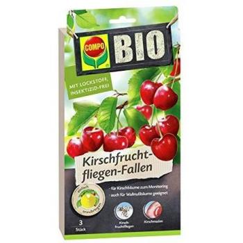 COMPO Bio Falle für Kirschfruchtfliegen