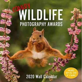 Comedy Wildlife 2020 Wall Calendar