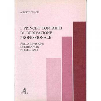 I principi contabili di derivazione professionale nella revisione del bilancio di esercizio