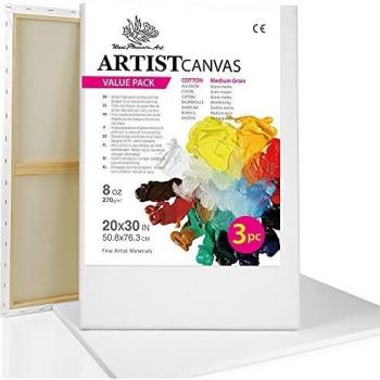 Phoenix Artist’s Blank Canvas Bundle – 50x76 cm, Pre-Stretched