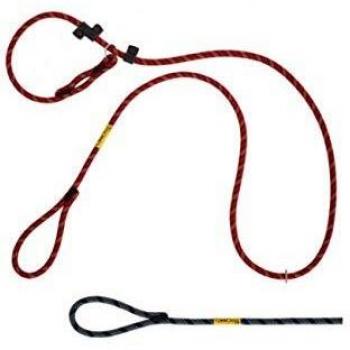 Laisse d'éducation CoolDog™ T1 rouge