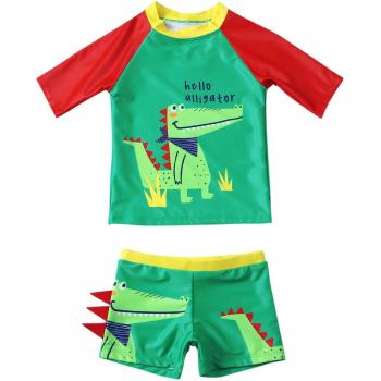 Cartoon Dinosaur Swimwear for Toddlers