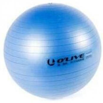 Olive Fitness Stability Ball Grey 65 cm