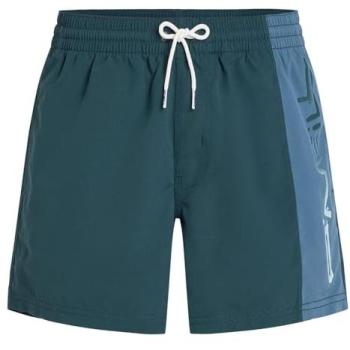 Men's O'Neill Alma Steel Retro 14 Swimming Shorts – Colorblock