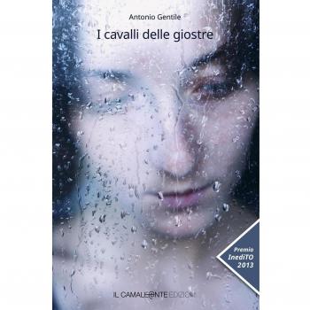 I cavalli delle giostre