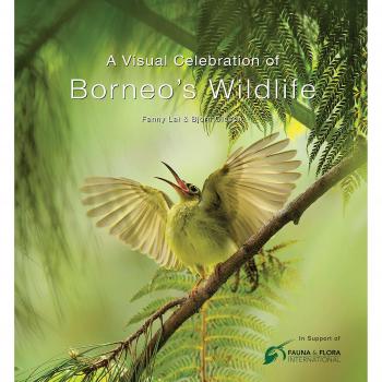 Visual Celebration of Borneo's Wildlife