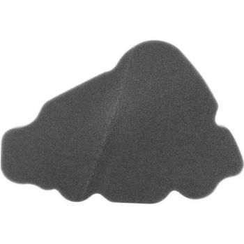 PuliziaSpugna FiltroAria
