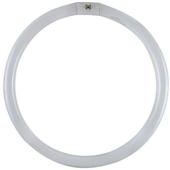 Fluoro-Trifosforo W40