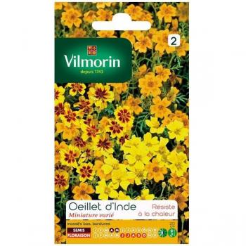 Vilmorin Oeillet d'Inde Goldstrike Tagetes erecta Goldstrike