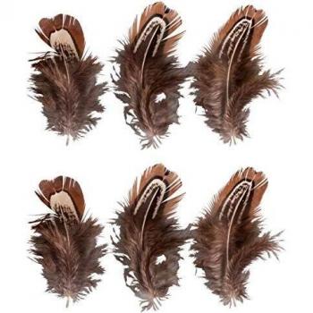 6 Deer Brown Decorative Feathers