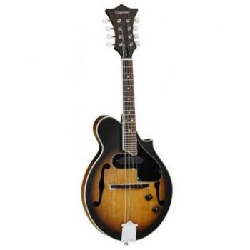 Tanglewood TANGLEWOOD TWMF VSE MANDOLINA Vintage Sunburst