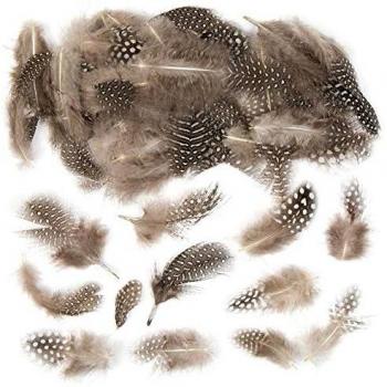Natural Feathers (Pack of 80) Craft Materials Assorted Natural Colours