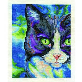 ArcticStride 14‑Count Snowshoe Kit – Rainbow