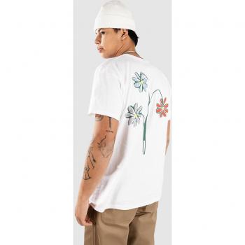 Same Roots Skatewear – White Tee