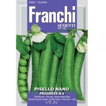 Fraschetti