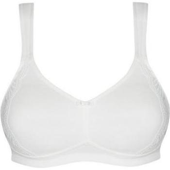 Susa Basic Minimizer-BH Nizza in natur