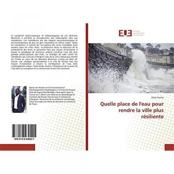 Quelle place de l'eau pour rendre la ville plus résiliente