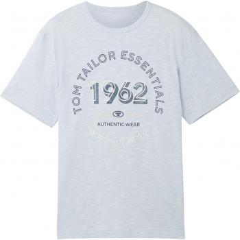 Tom Tailor Herren Melange T-Shirt mit Frontprint-Logo foggy blue feine Streifen XXL