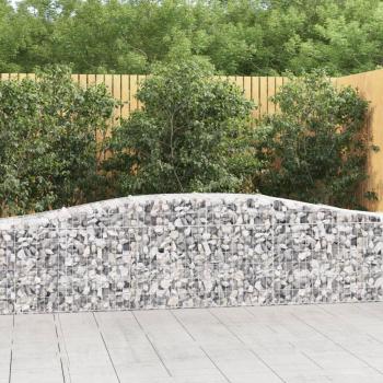 Barrière de Jardin en Gabion Arqué – 10 Pcs – 400x50x60/80 cm – Acier Galvanisé – VidaXL