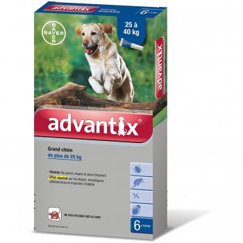 ADVANTIX GRAND CHIEN 25 Ã  40 kg