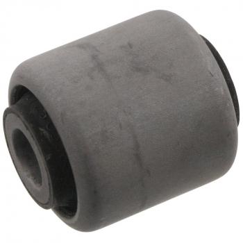 Braço de Suspensão Oscilante (FEBI BILSTEIN 34176)