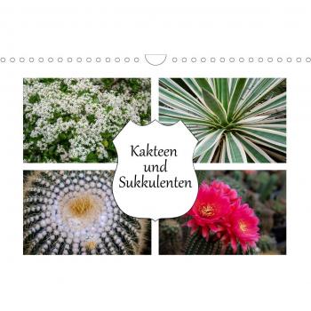 Kakteen und Sukkulenten