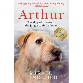 Arthur: The dog who crossed the jungle to find a home *SOON TO BE A MAJOR MOVIE