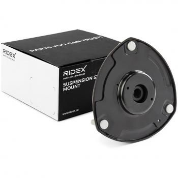 Ridex 1180S1387 – Soluzione Ammortizzante