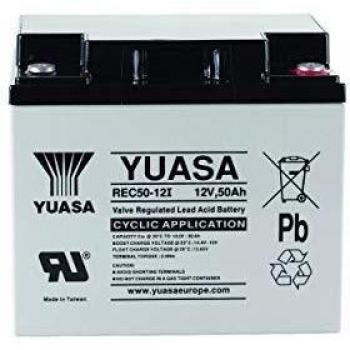 Batteria Piombo 12V 50Ah Yuasa REC50-12