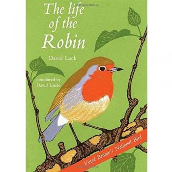 The Life of the Robin