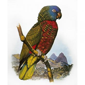 Postérisme Versicolor