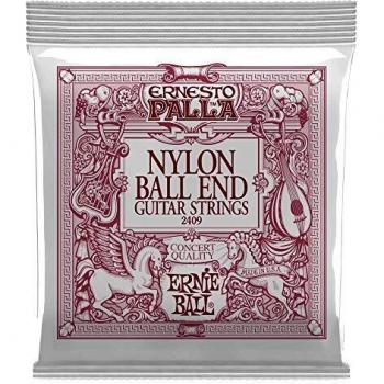 Ernie Ball P02409