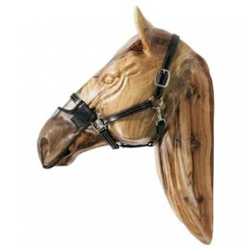 Falda Antimoscas de Caballo Kentucky