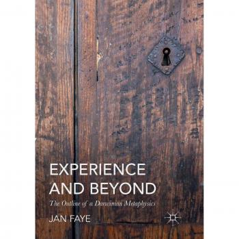 Experience and Beyond: The Outline of A Darwinian Metaphysics