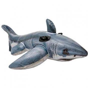 The inflatable shark float, 173 x 107 cm